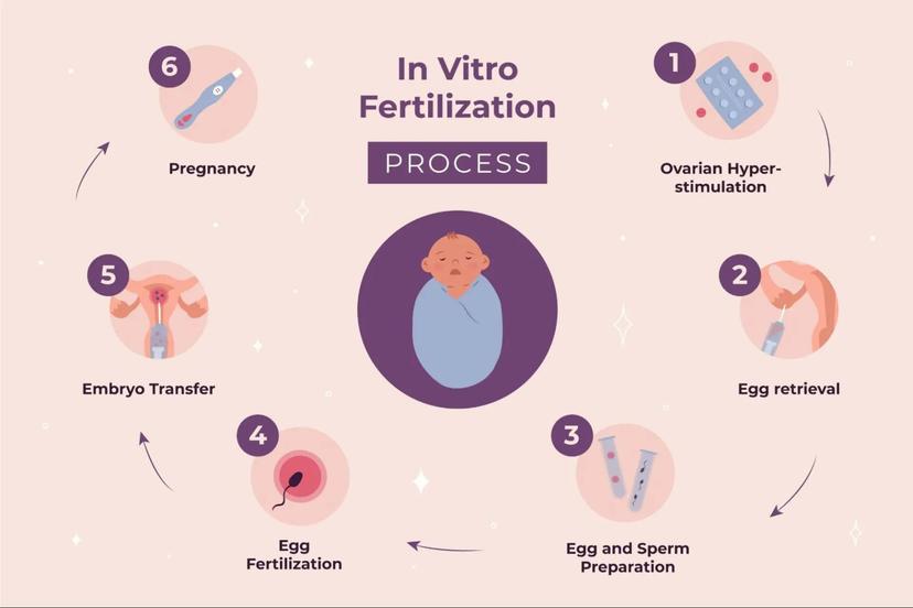 IVF: The Path To Parenthood For Couples Facing Fertility Challenges